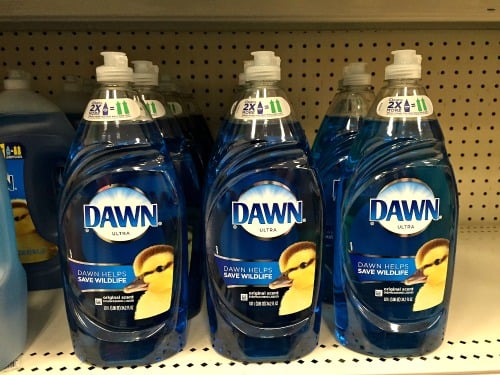 dawn dish soap to wash dog