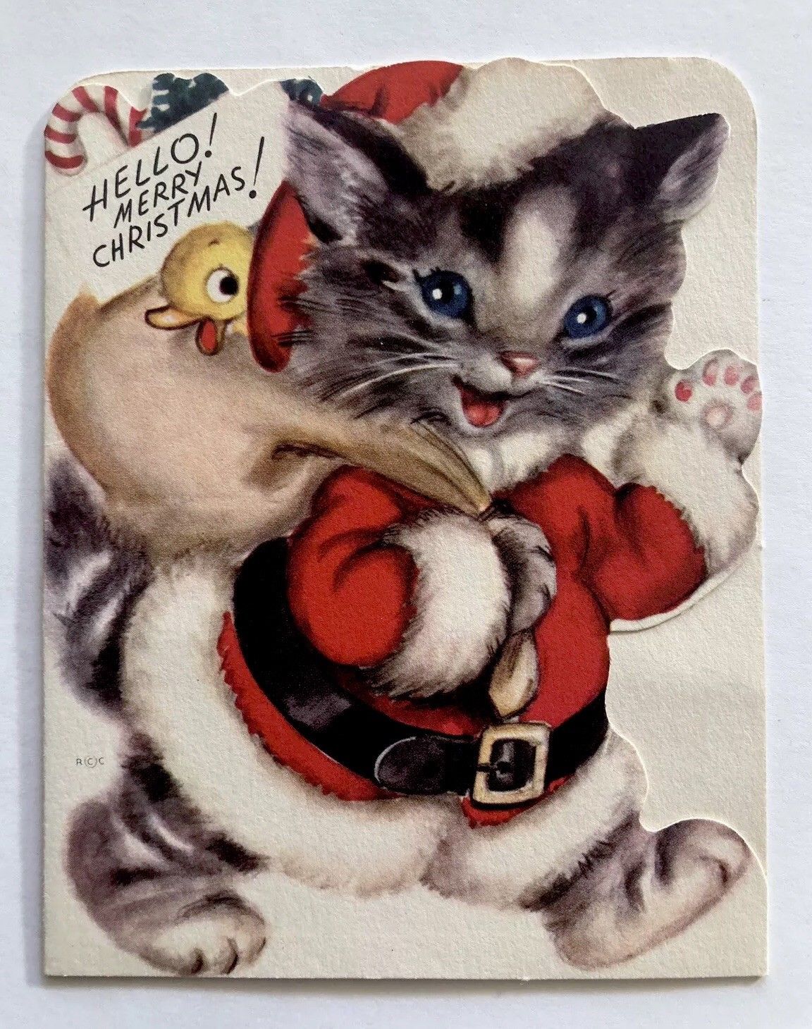 cat santa