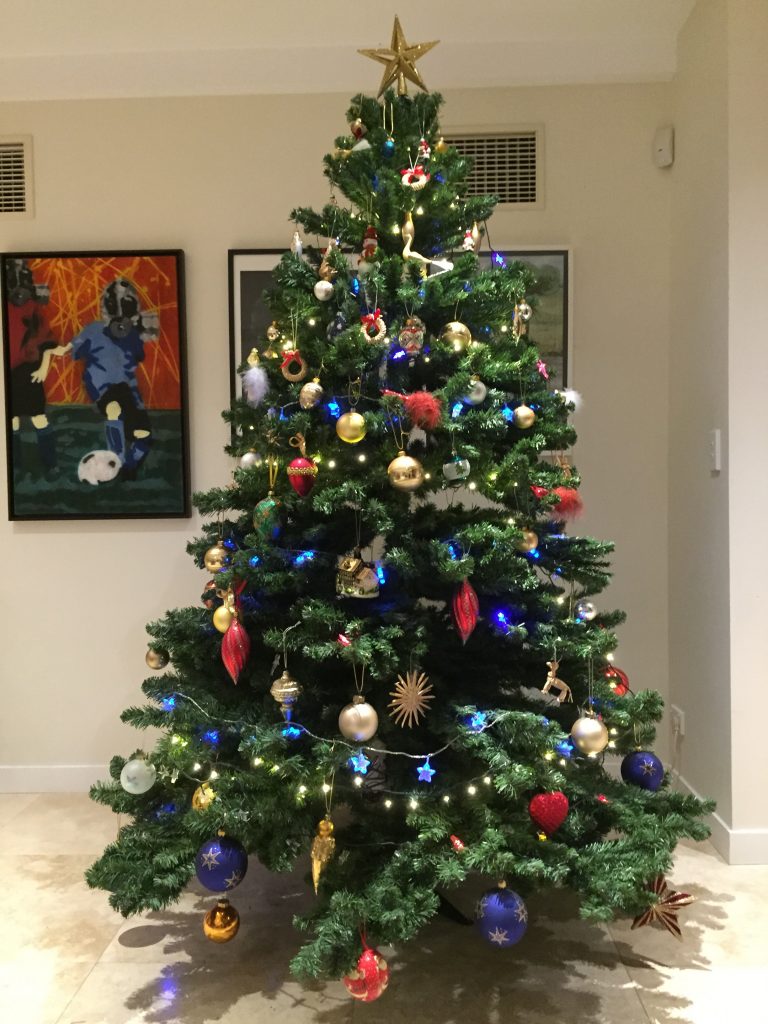 You Can Now PreOrder Real Christmas Trees From Amazon