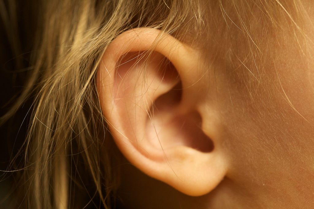 ear