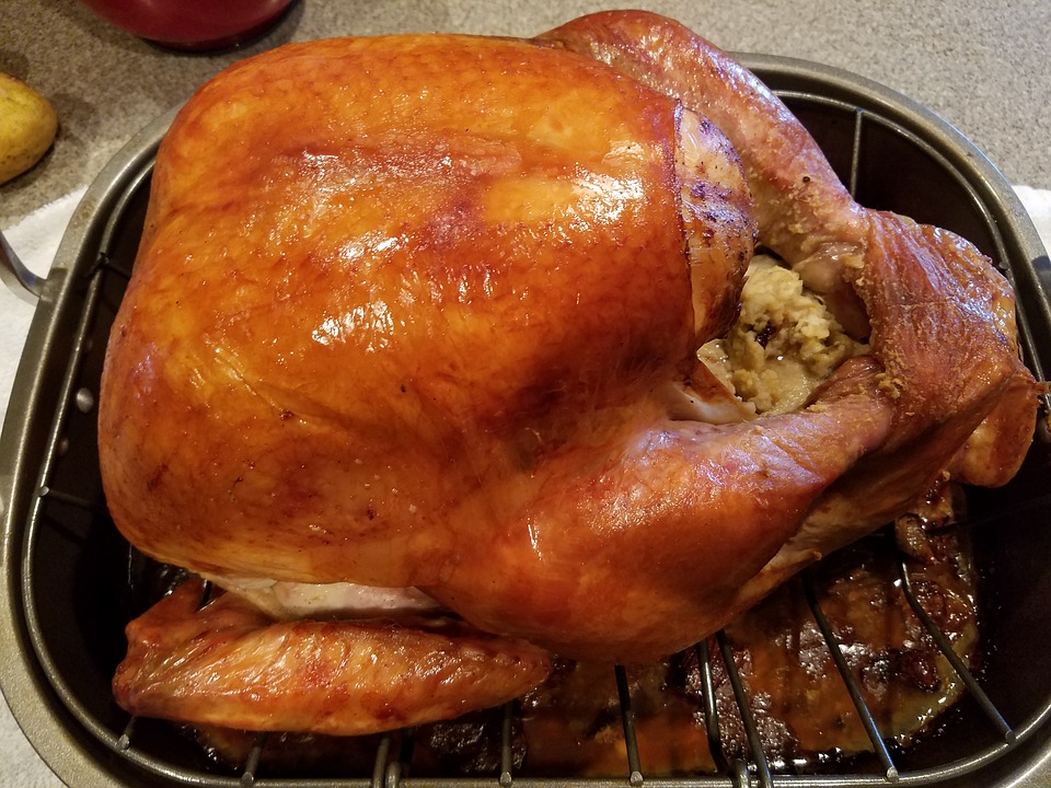 roast turkey