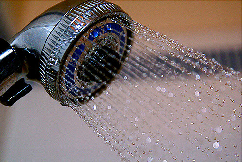 shower head