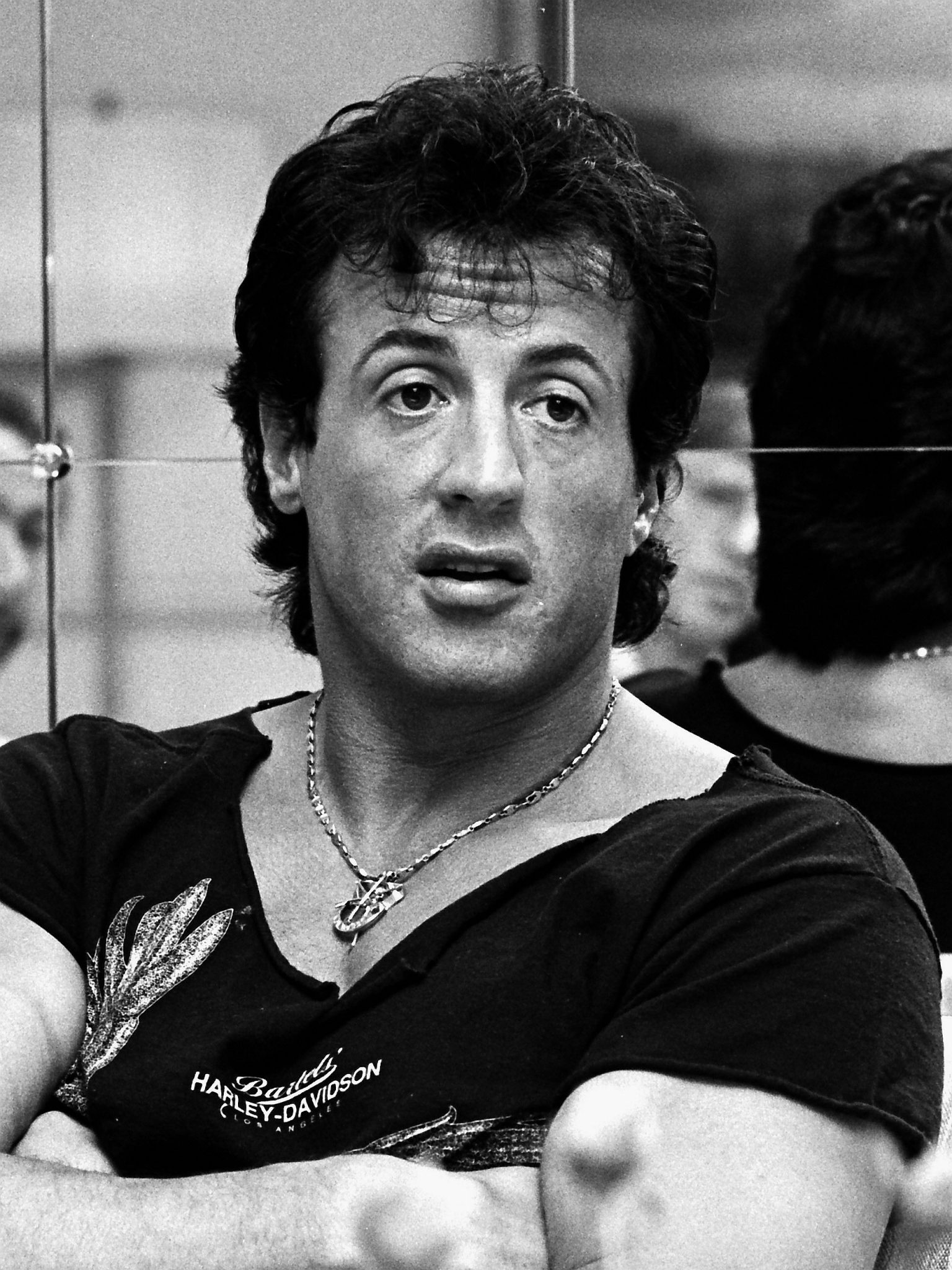 sylvester stallone