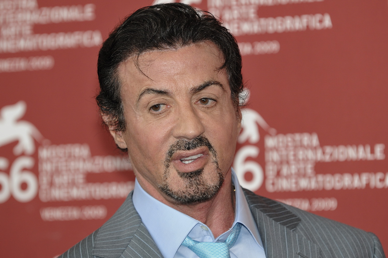 stallone