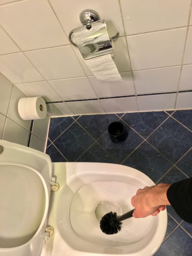 Here's What Happens When You Put Vinegar In Your Toilet