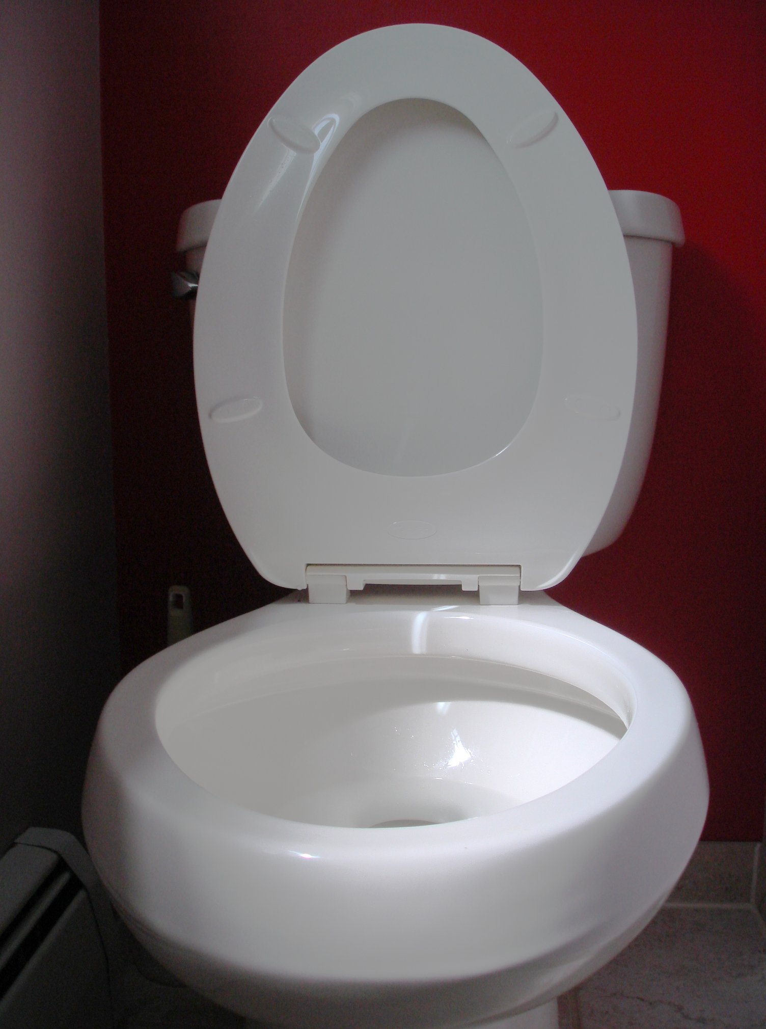 toilet seat