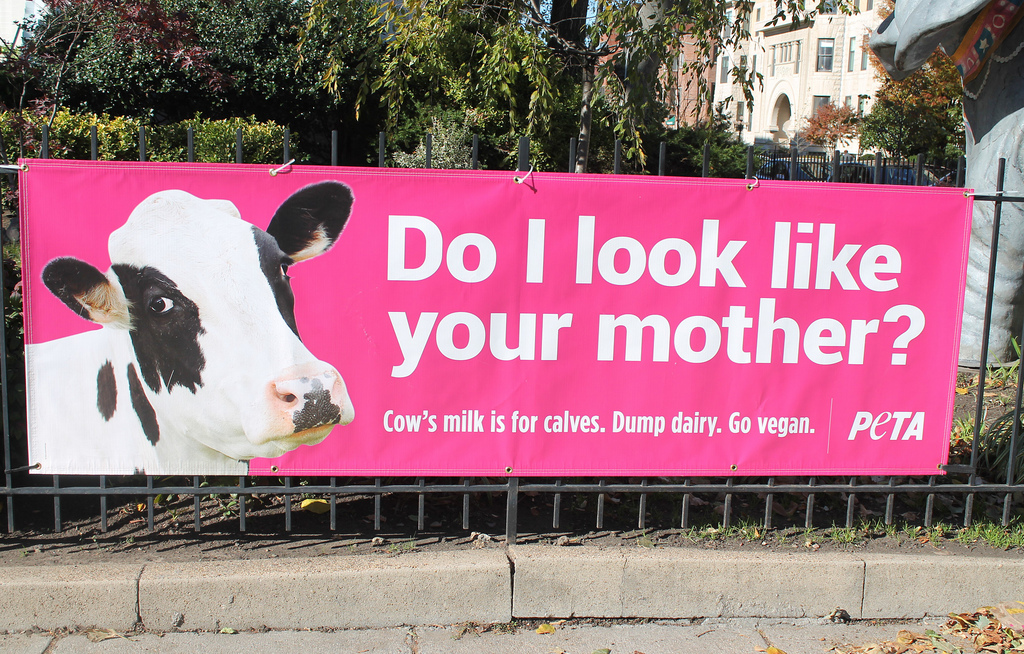 peta sign