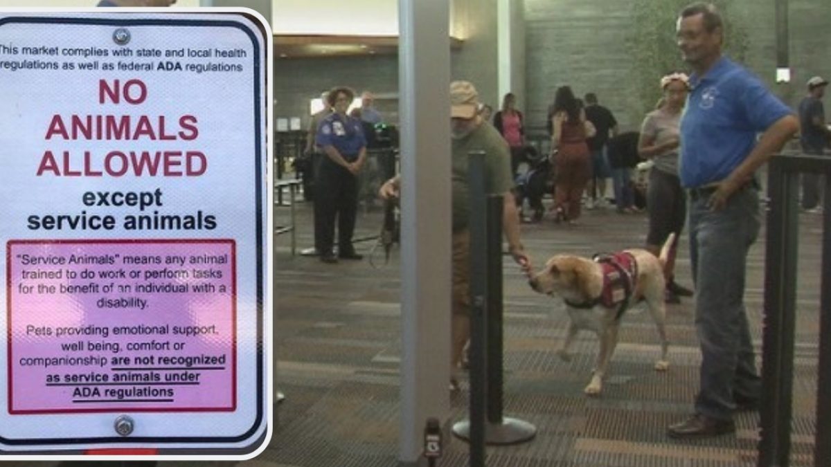 Where Service Dogs Are Not Allowed