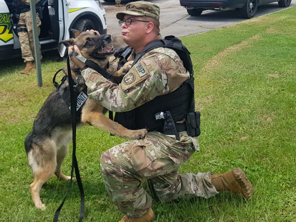 92 Military K9s Are Coming Home After Serving In Afghanistan