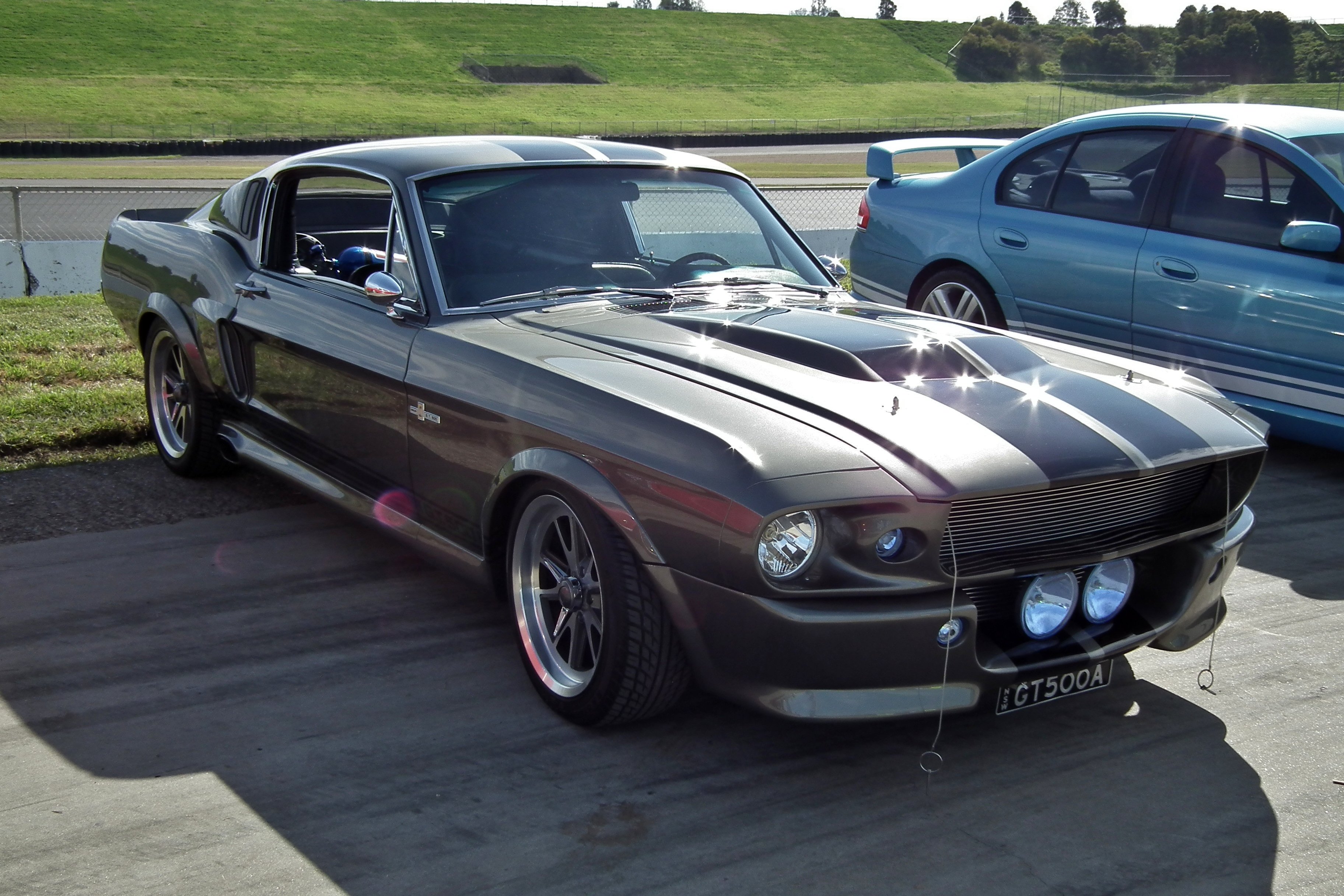 mustang 