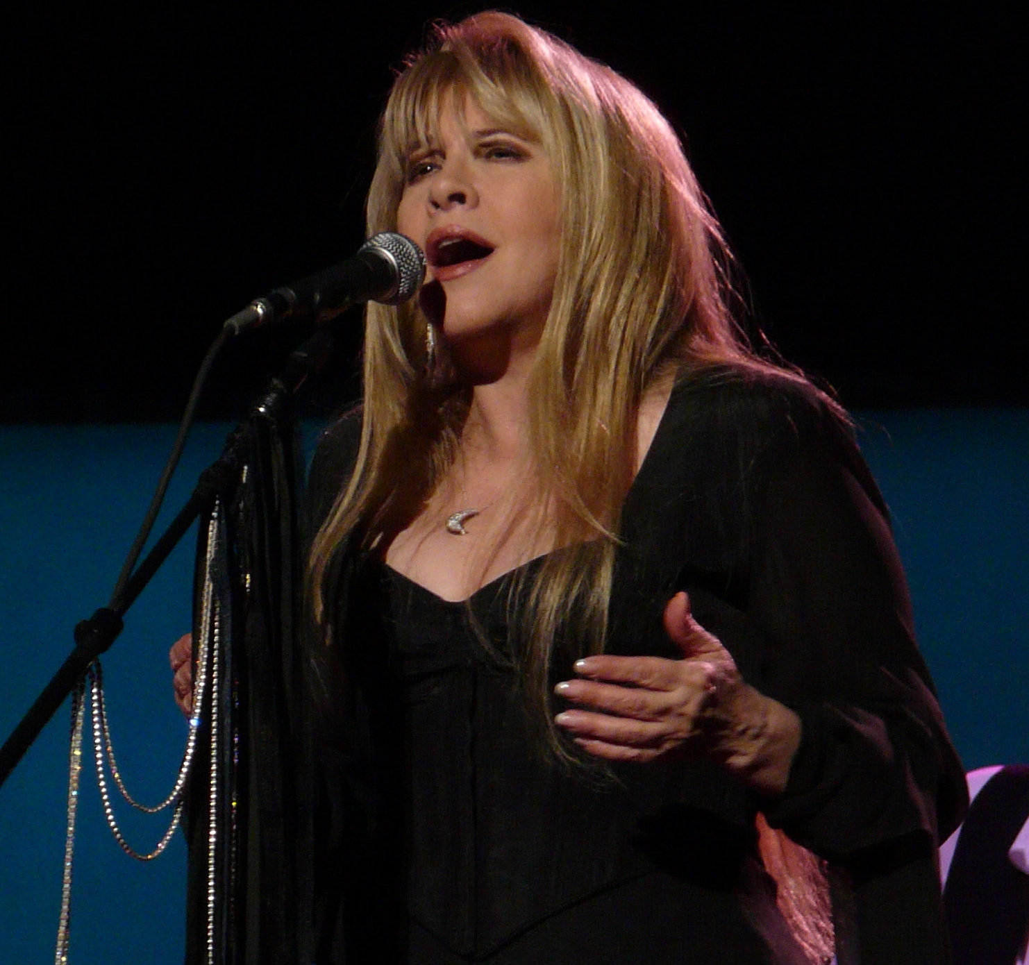 stevie nicks 