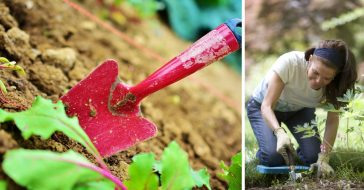 gardening-health