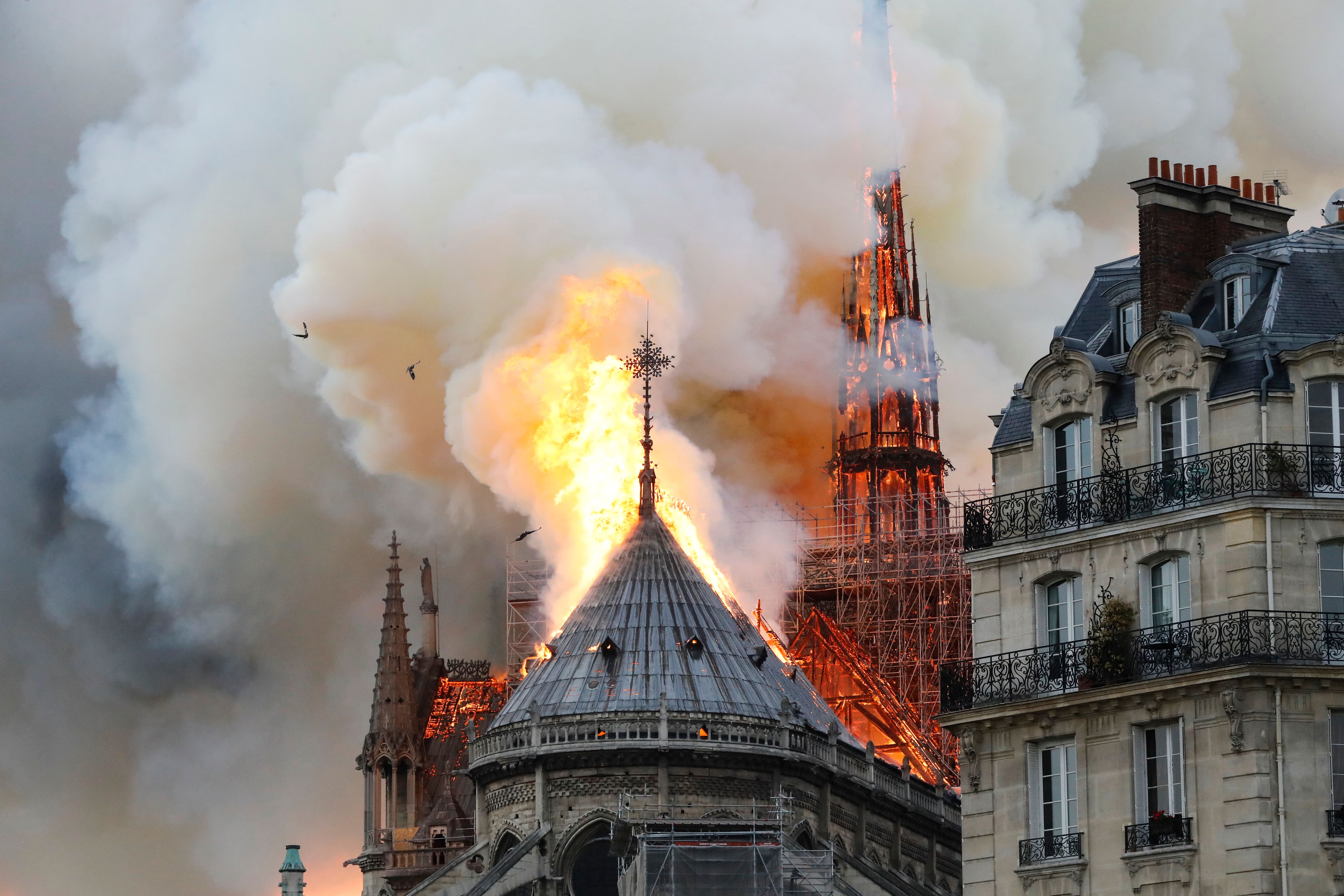 notre dame cathedral