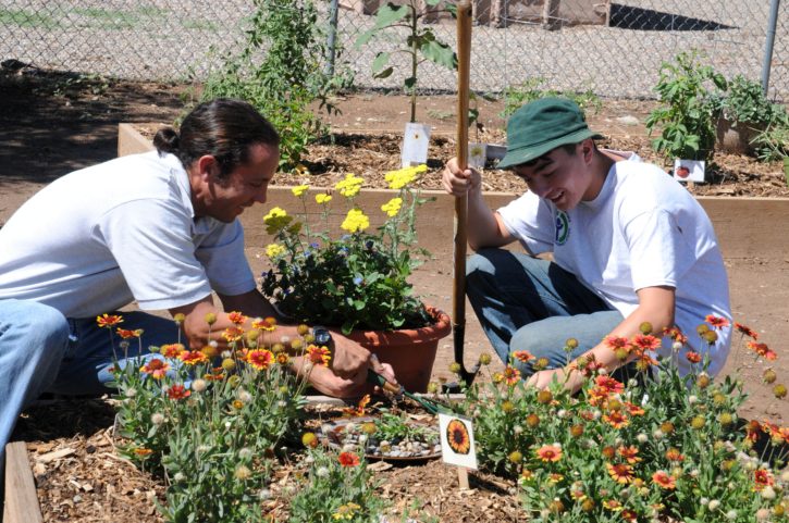 gardening 