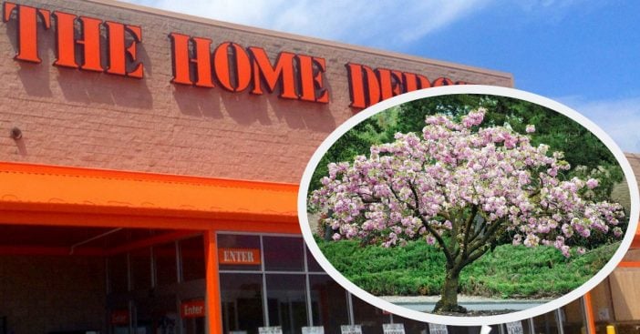 home depot