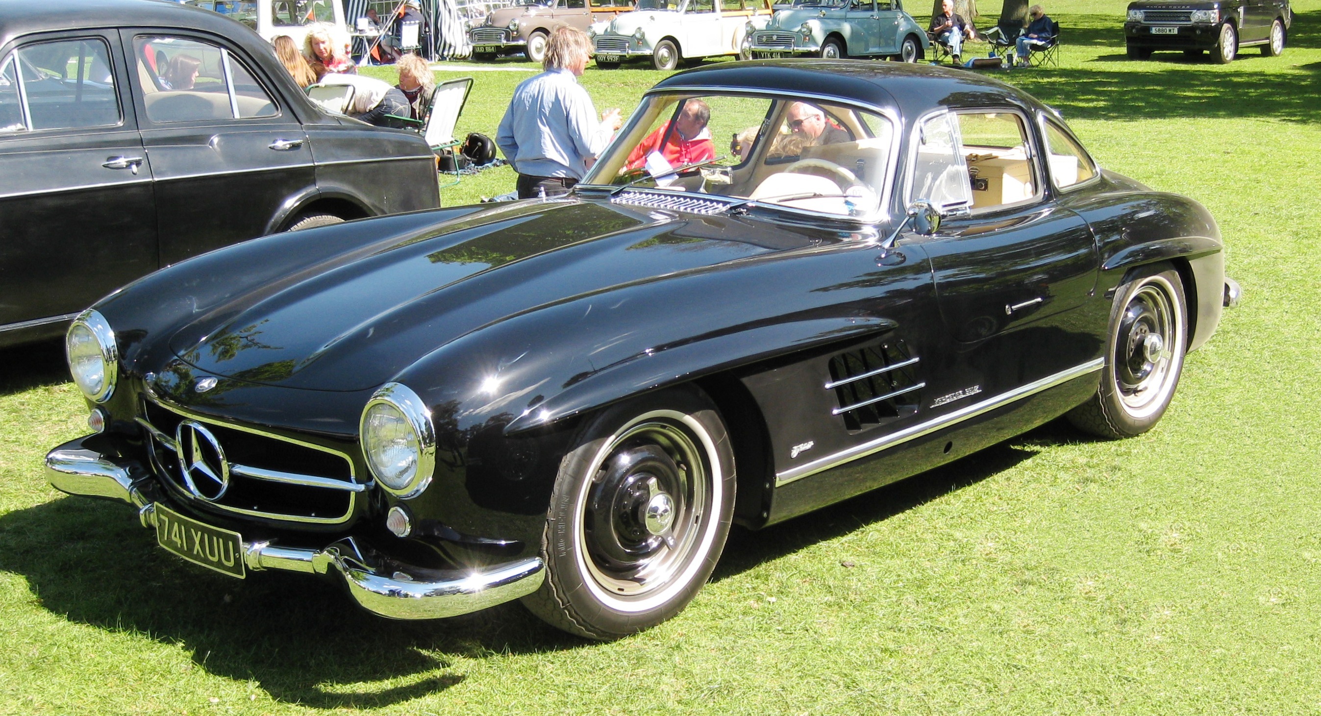 gullwing 