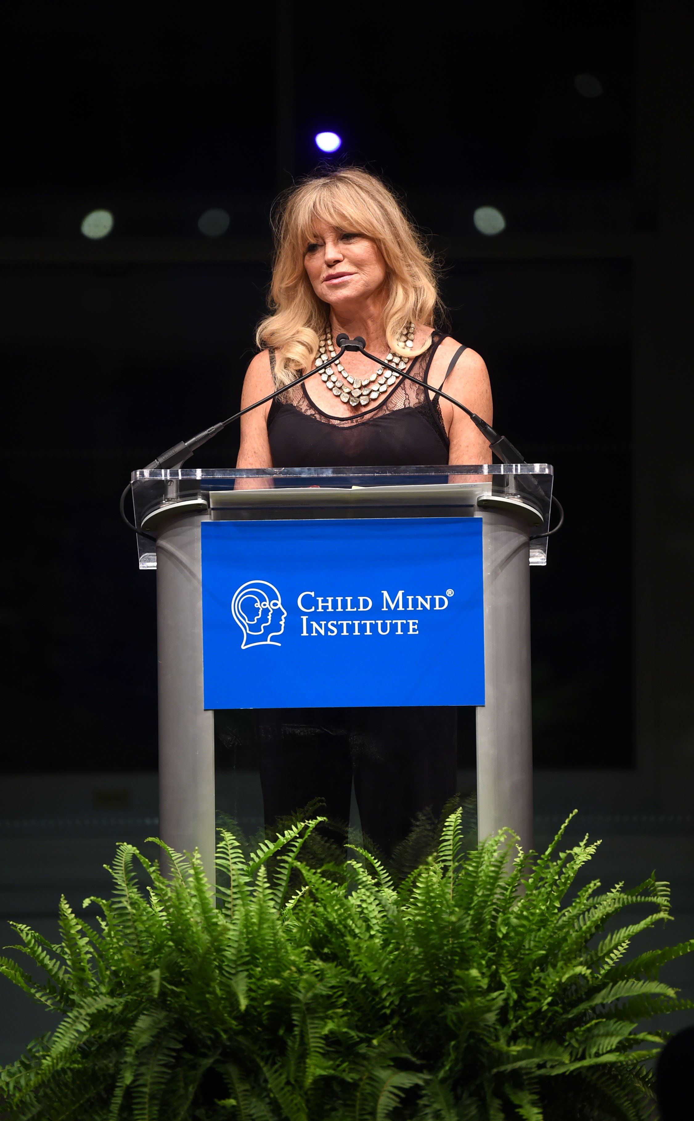 goldie hawn change maker awards