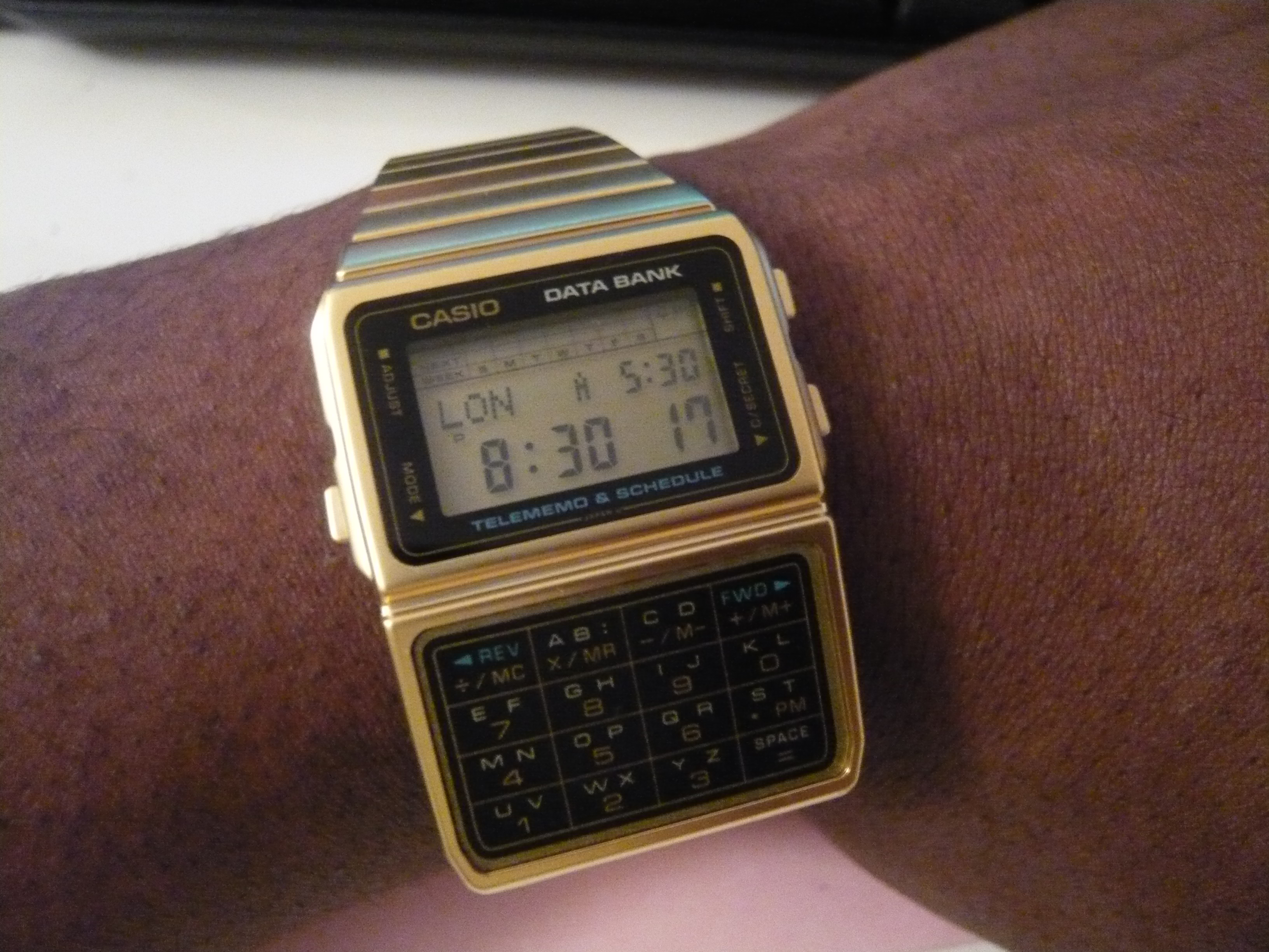 casio databank