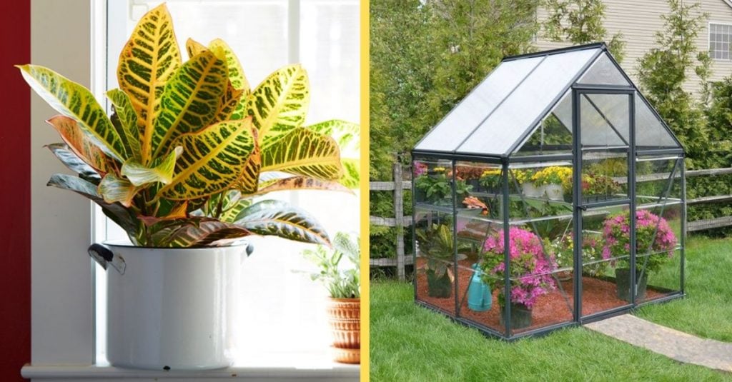 Five Garden Trends You'll Need To Know About In 2020