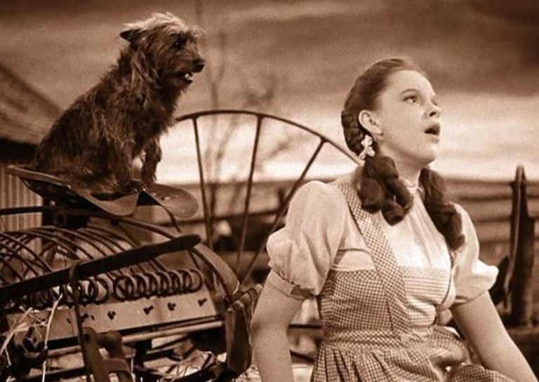 judy garland in the wizard of oz