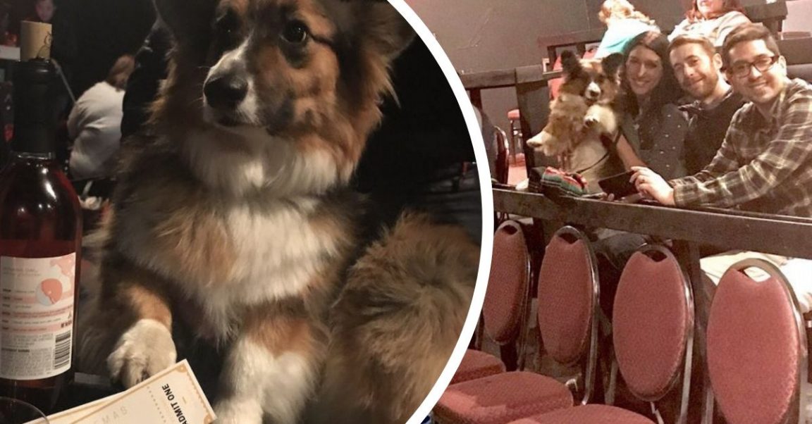 Texas Movie Theater Allows You To Bring Your Dog & Drink Unlimited Wine