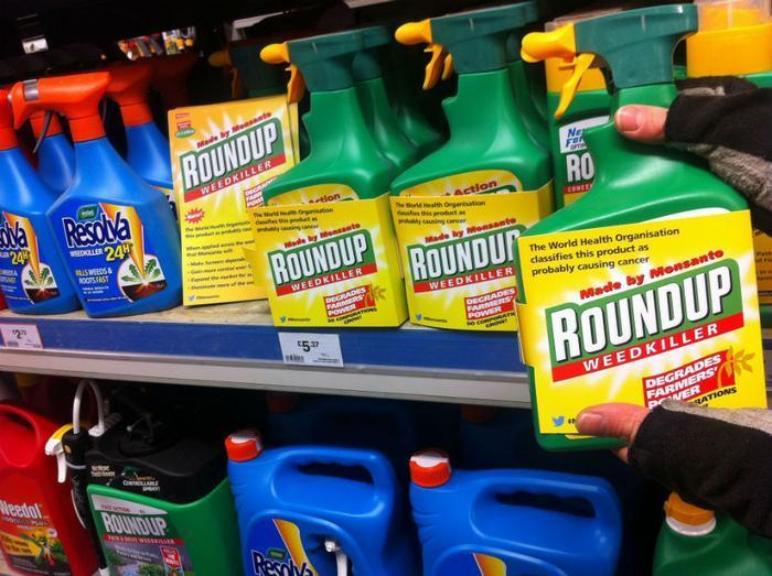 RoundUp weed killer