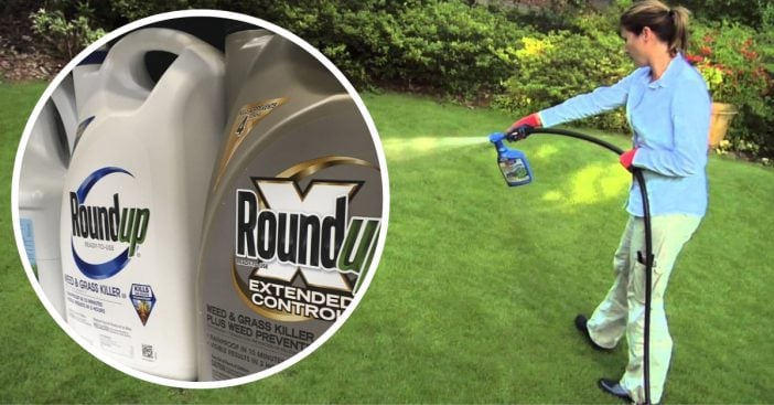 weed killer causes cancer trial