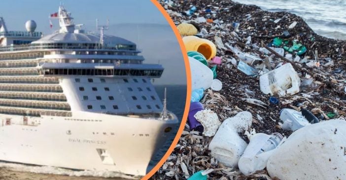 carnival cruise line to pay fine for dumping trash in ocean