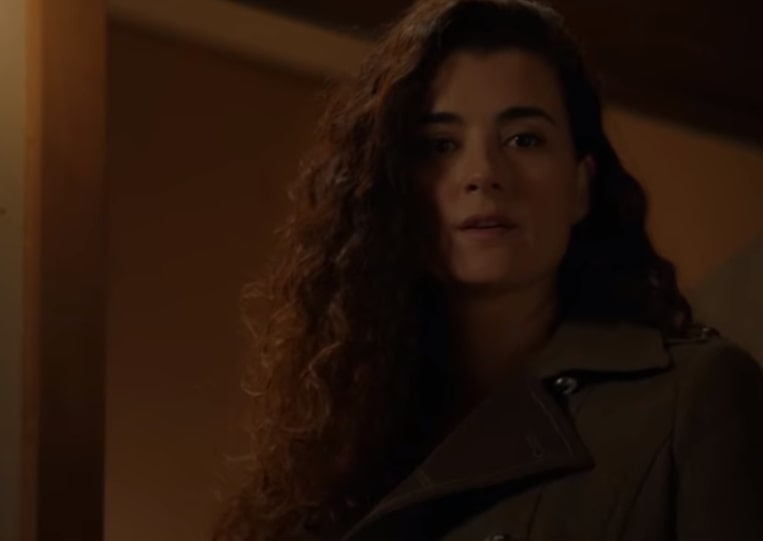 ziva returns 