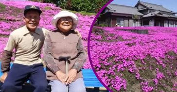 Husband Spends Two Years Planting Thousands Of Flowers For His Blind Wife