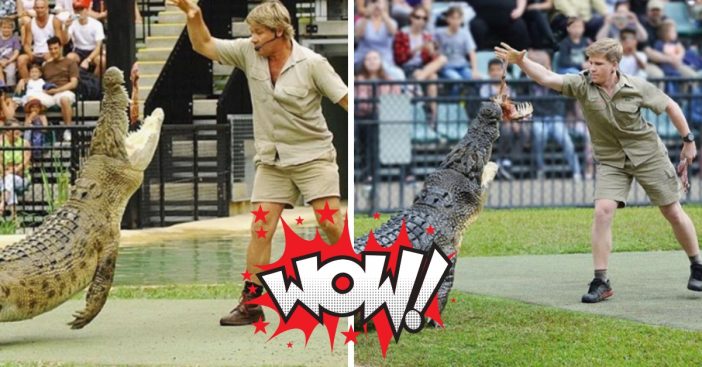 Robert Irwin shares a photo of himself feeding the same crocodile his father did 15 years ago