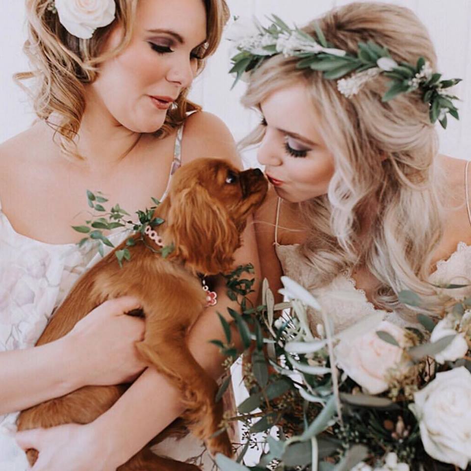 bride kissing puppy 