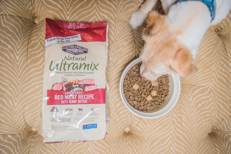FDA Finds That 16 Brands Of Dog Food Linked To Canine Heart Disease