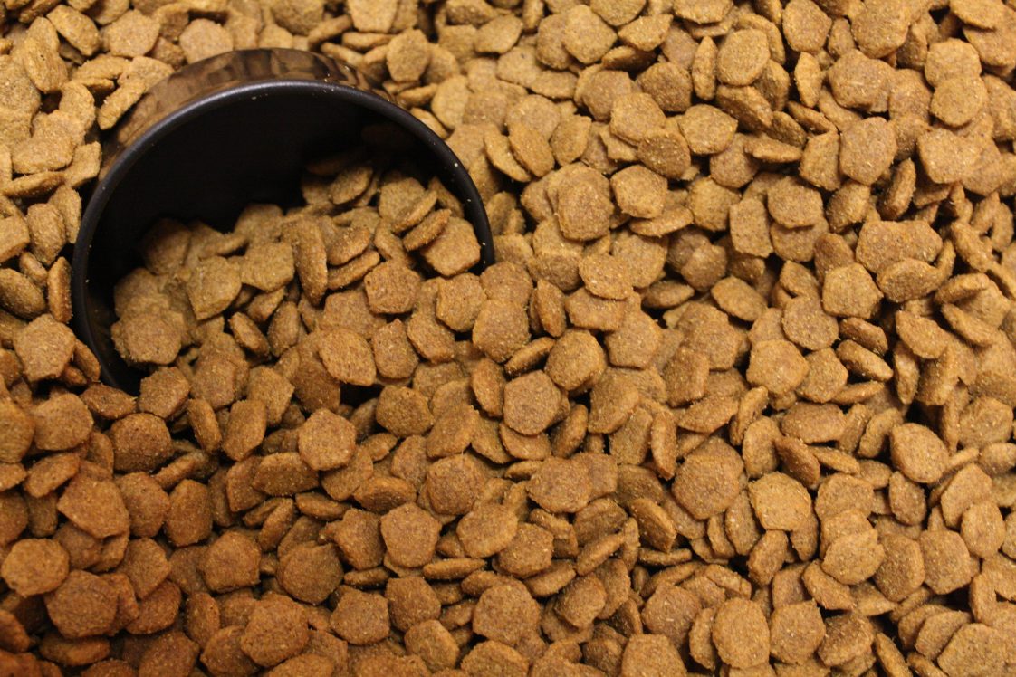 FDA Finds That 16 Brands Of Dog Food Linked To Canine Heart Disease