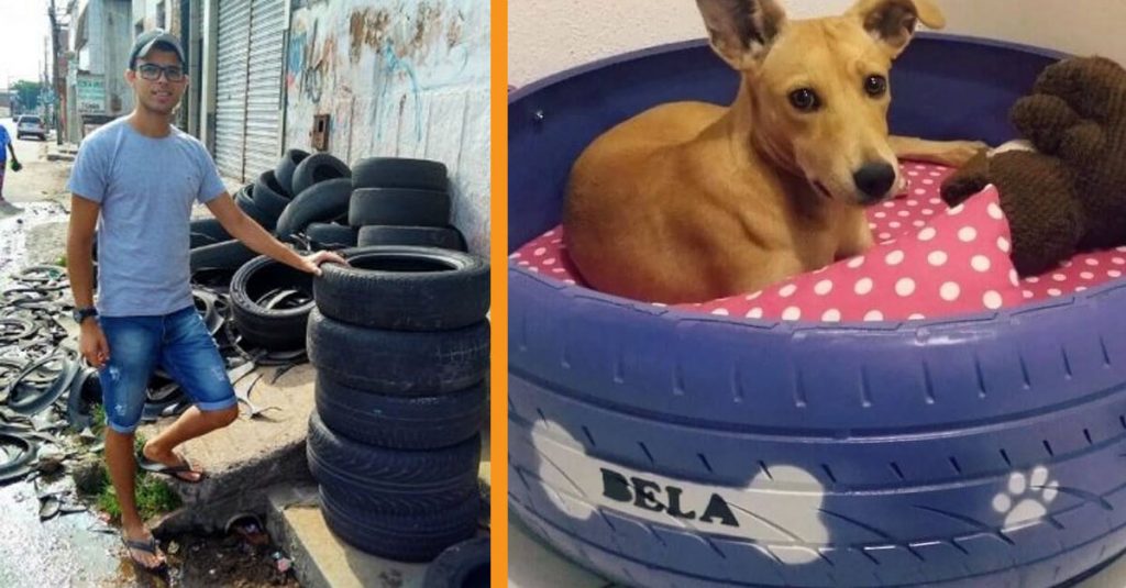 Artist Repurposes Old Car Tires Into Beds For Stray Animals