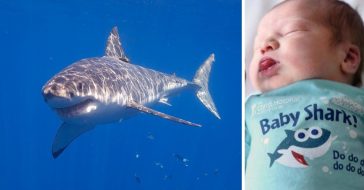 A hospital is giving out Baby Shark onesies for all babies born during Shark Week