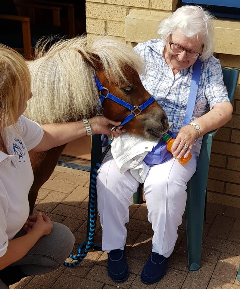 feeding a pony