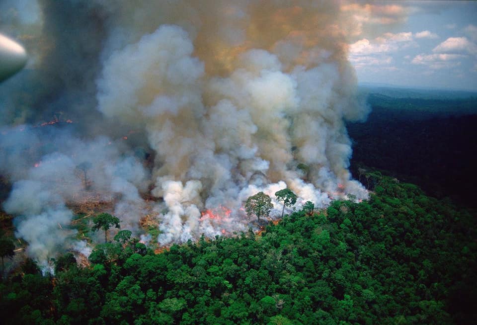 brazil amazon rainforest fires