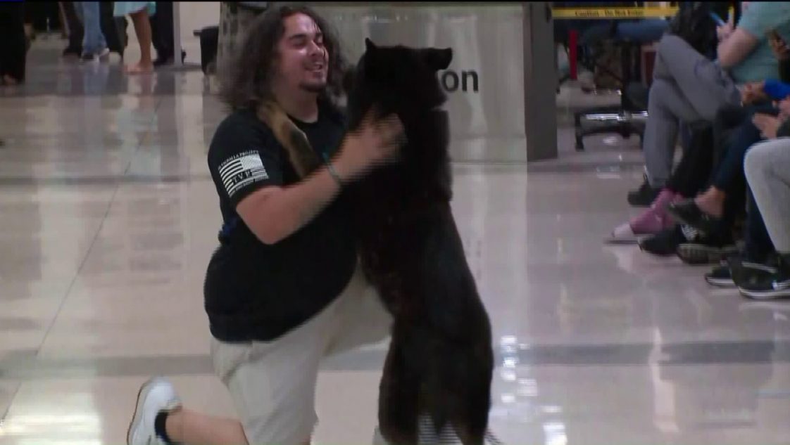 U.S. Marine Reunites With K9 After Years Of Being Apart & Adopts Him