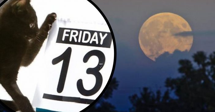 How To View The Rare Harvest Moon On Friday The 13th This Week!