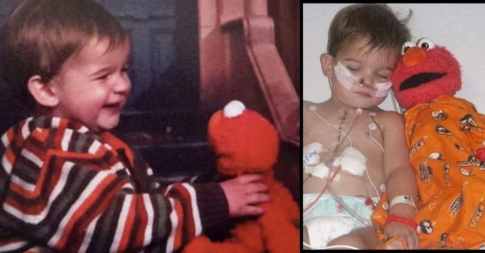 Lost Elmo Doll Went Missing For 12 Years, Then Returned To Her 10 Years After Her Son's Death