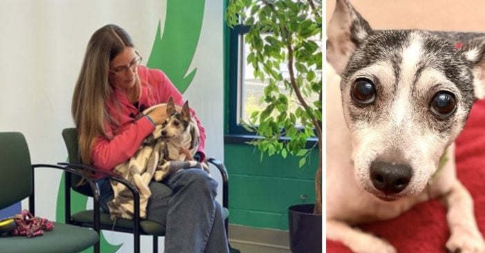 A dog and her owner were reunited after being apart for 12 years