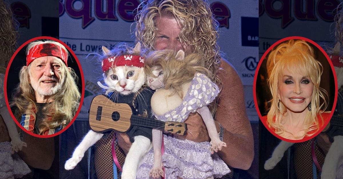 These Two Cats In Dolly Parton, Willie Nelson Costumes Are Winning Halloween