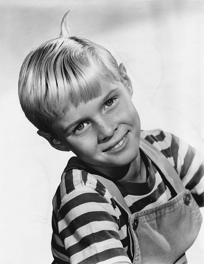 dennis the menace jay north 