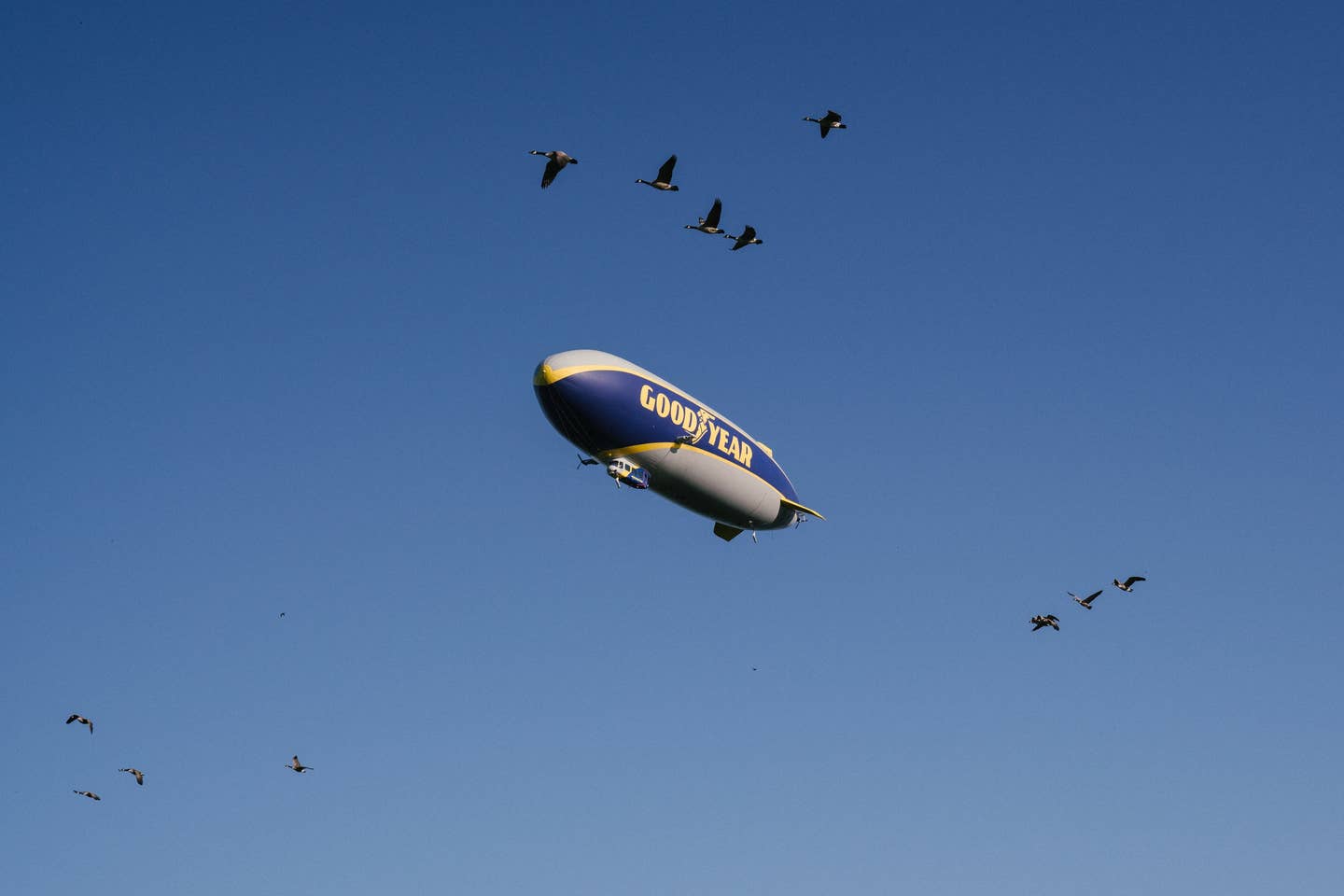 goodyear blimp