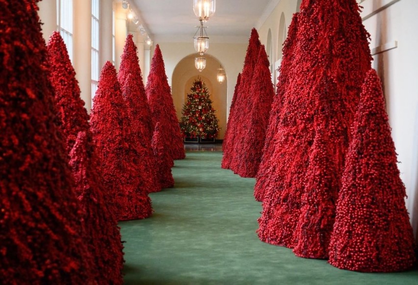 white house christmas trees