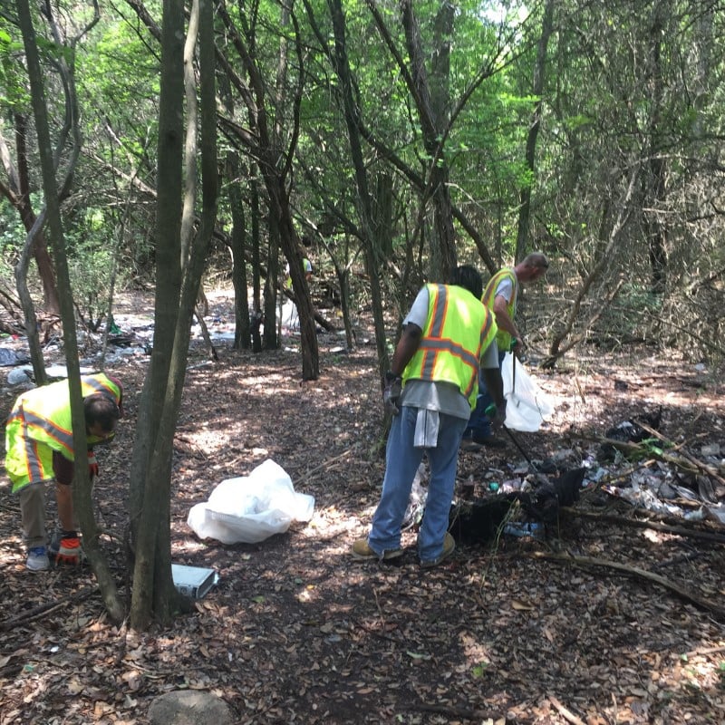 the other ones foundation person working in woods