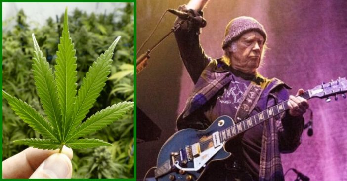 Neil Young Claims His U.S. Citizenship Application Is Being Delayed Because He Uses Marijuana