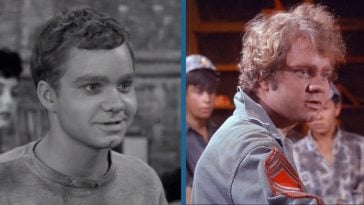 'Star Trek' And 'Andy Griffith Show' Actor Michael J. Pollard Dies At Age 80