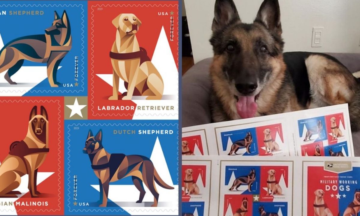 USPS Military Working Dogs Postage Stamps — DKNG